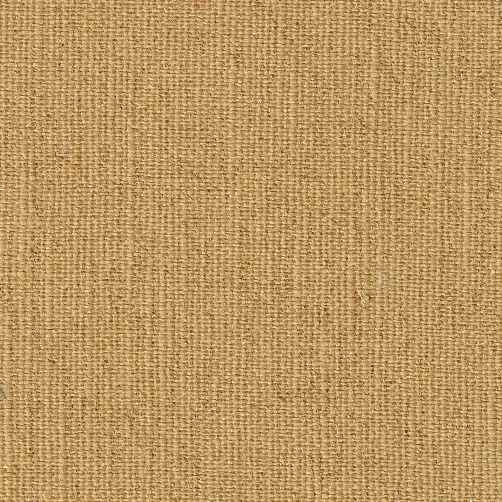 Rideau Alba CARAMEL