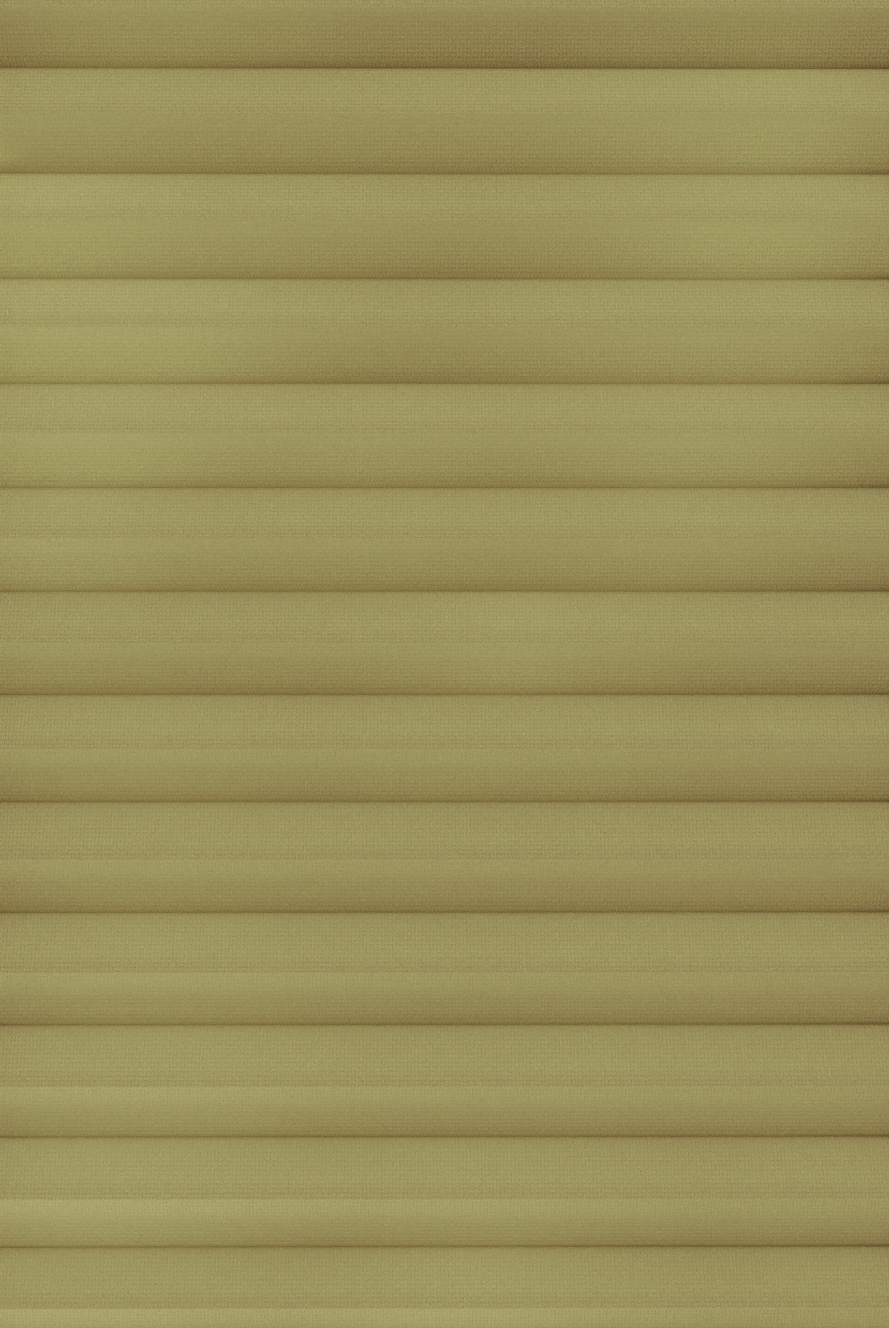 Store Nid d'abeille Calvara TILLEUL